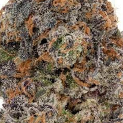 grape pie