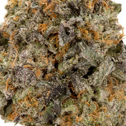 grape pie